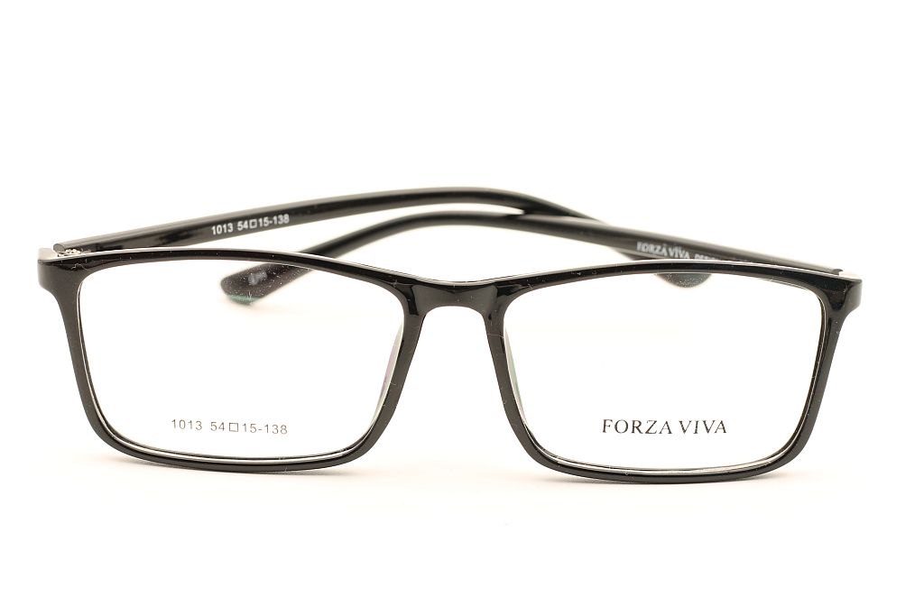 FORZAVIVA 1013 c11