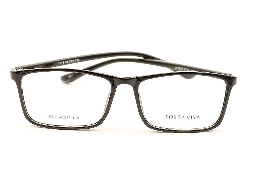 FORZAVIVA 1013 c11